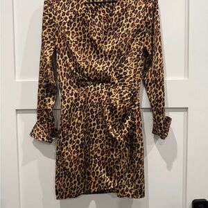 Zara Leopard Print Long Sleeve Dress